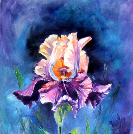 Purple lily