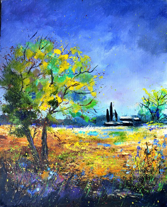 Summer landscape