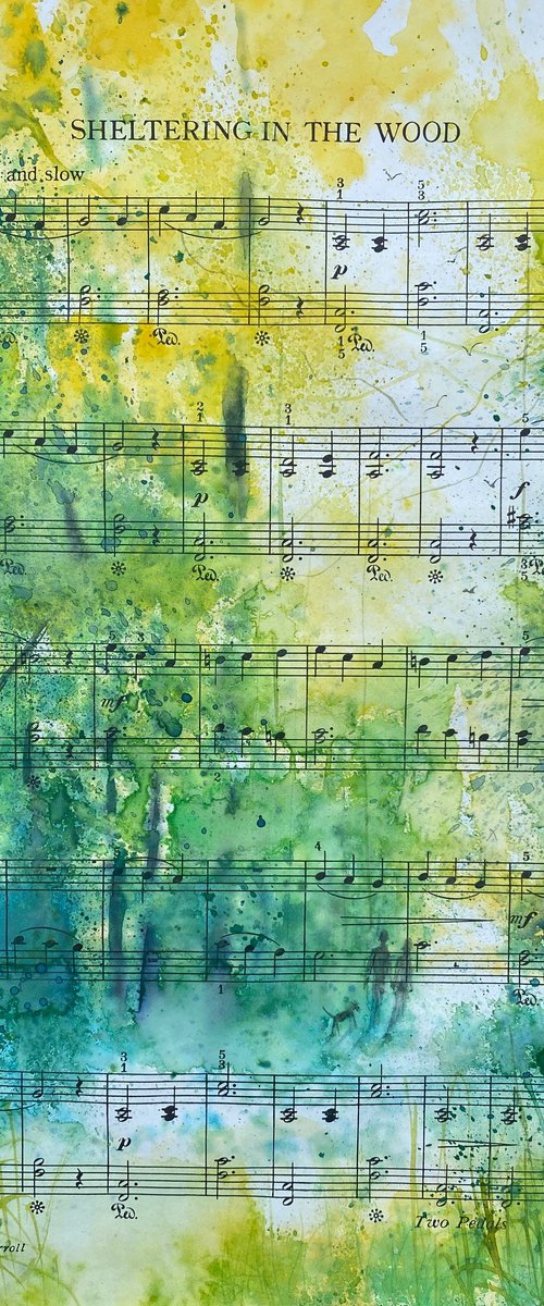 Sheltering in Woods on music by Teresa Tanner