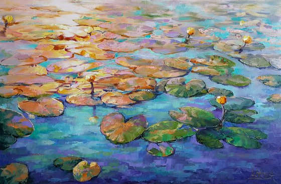 Painting - Water lilies at sunset - lily pond, original oil