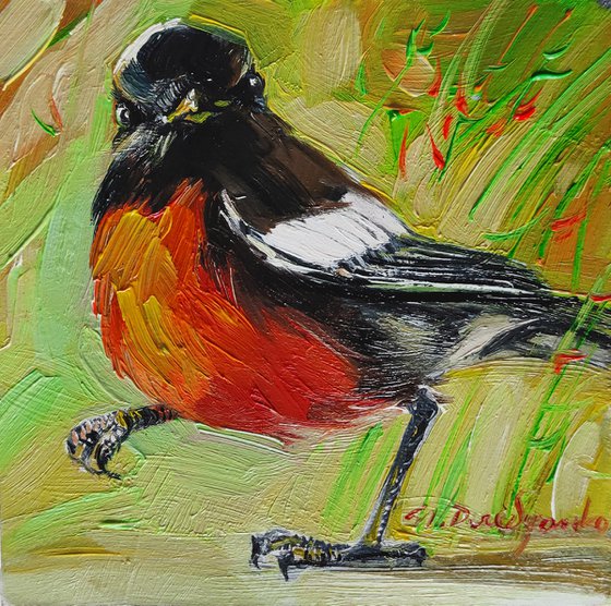 Bird painting original oil 4x4, American redstart painting miniature, Bird picture framed, Paintings animal