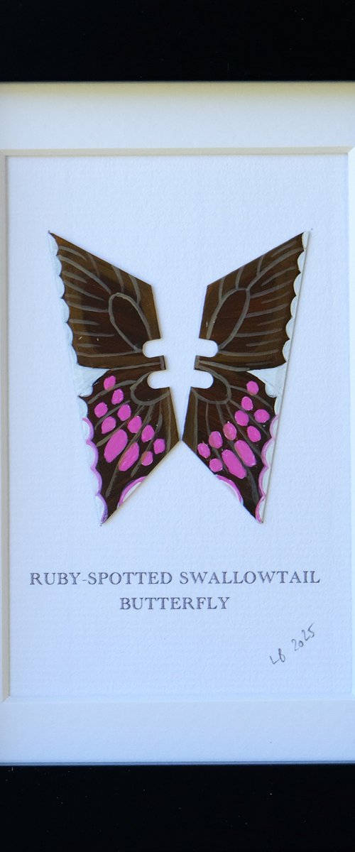 Ruby-spotted butterfly by Lene Bladbjerg