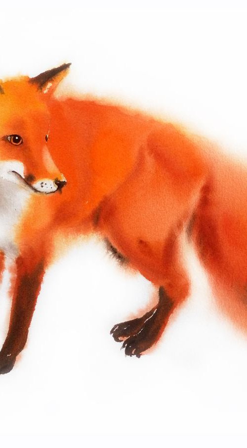 Red Fox - foxy - fox portrait by Olga Beliaeva Watercolour