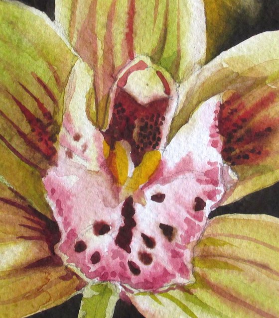 a painting a day #44 " spring cymbidium orchid "