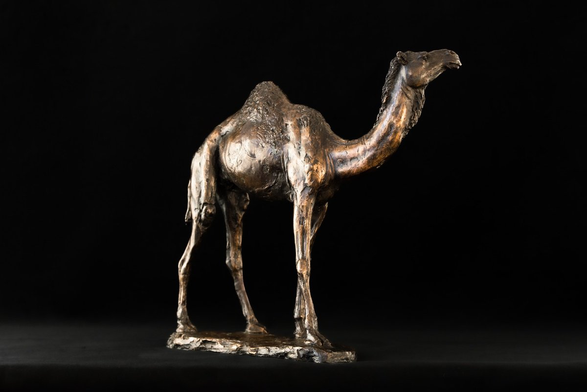 Animal Bronze Sculpture By Tanya Russell, 14 X 14", Camel Foundry Bronze Sculpture, Original Artwork