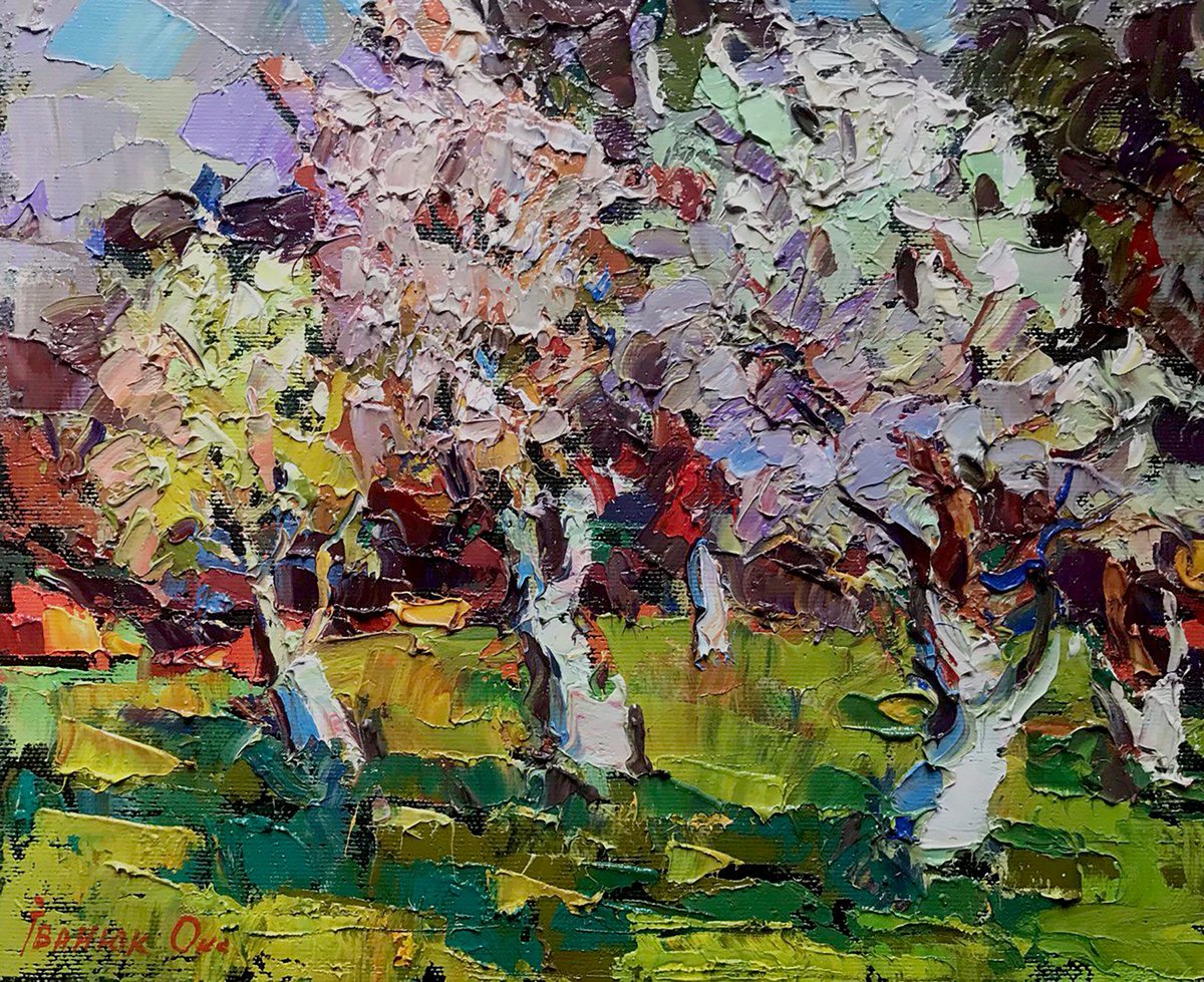 Apple tree blossoms by Kalenyuk Alex