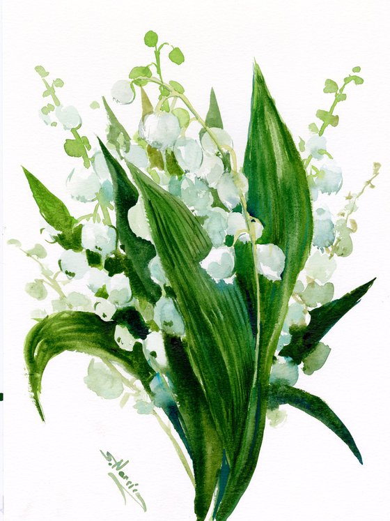 Lilies of the Valley