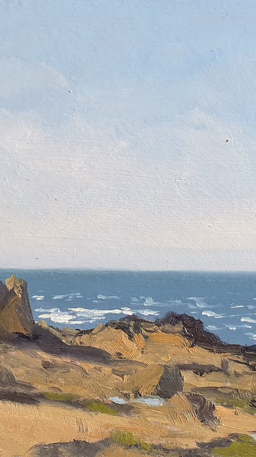 La côte à Ploemeur by José DAOUDAL