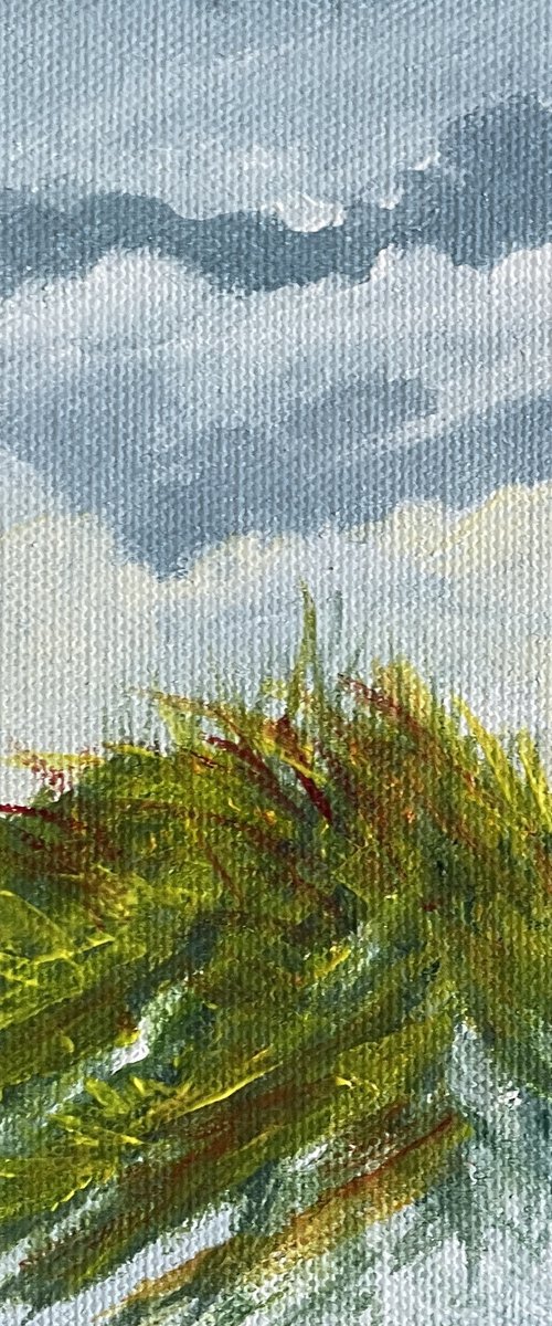 The Dune by Rosie Brown