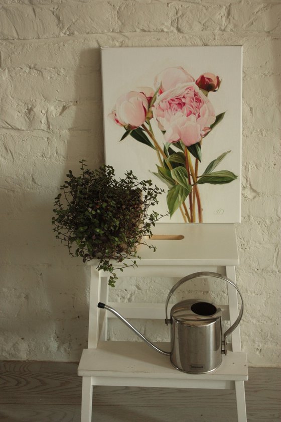 Small bouquet of pink peonies