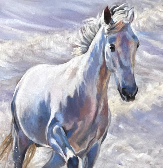 Making a Splash - Andalusian