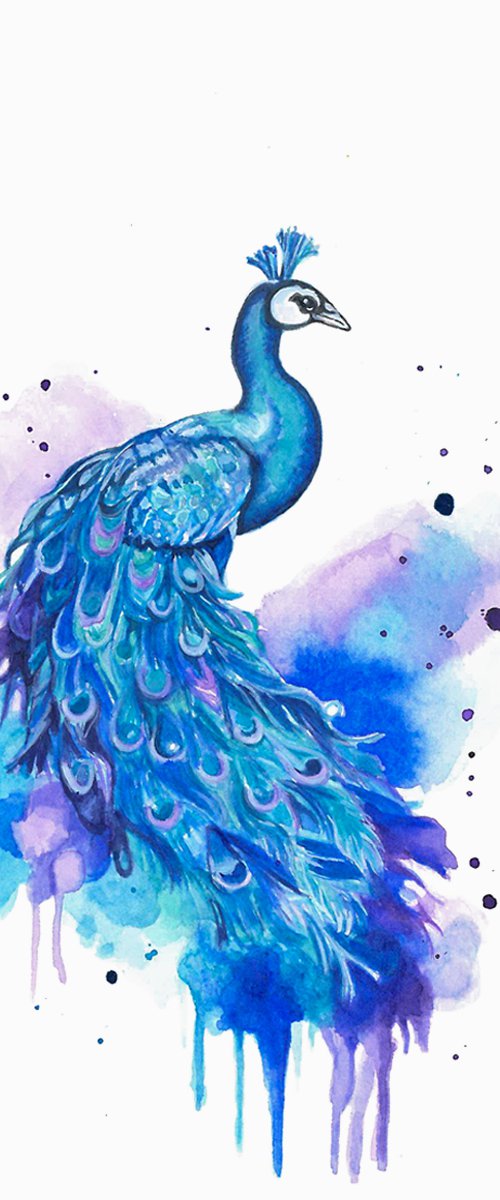 Colourful Peacock Painting by Sandy Broenimann