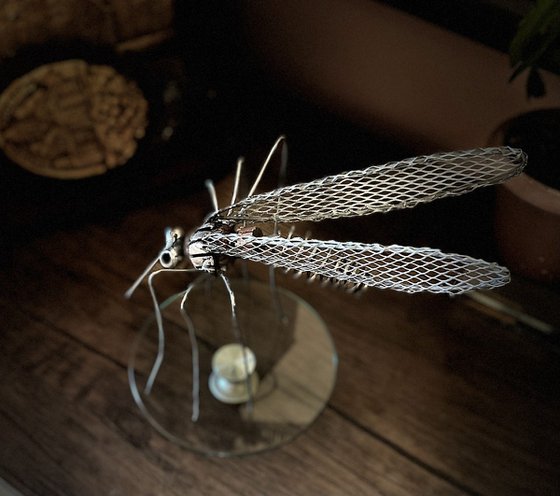 Mosquito