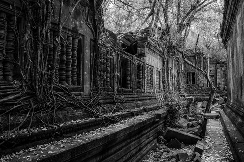 Angkor Series No.14 (Black and White) - Signed Limited Edition by Serge Horta