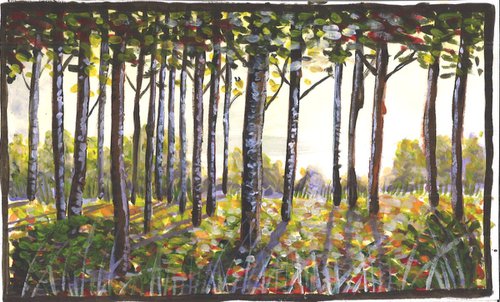 Birch Trees at Dawn by Kate Evans