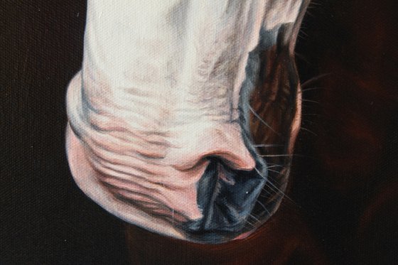 In the winter silence