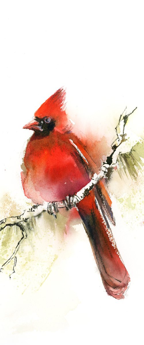 Northern Cardinal Bird Watercolor Painting by Sophie Rodionov
