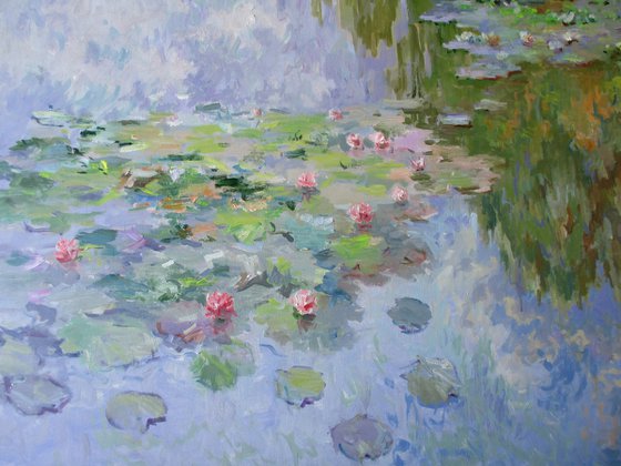 Water Lilies in the Lake