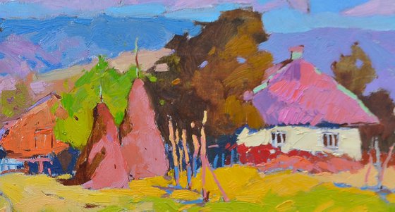 Sunny Yard