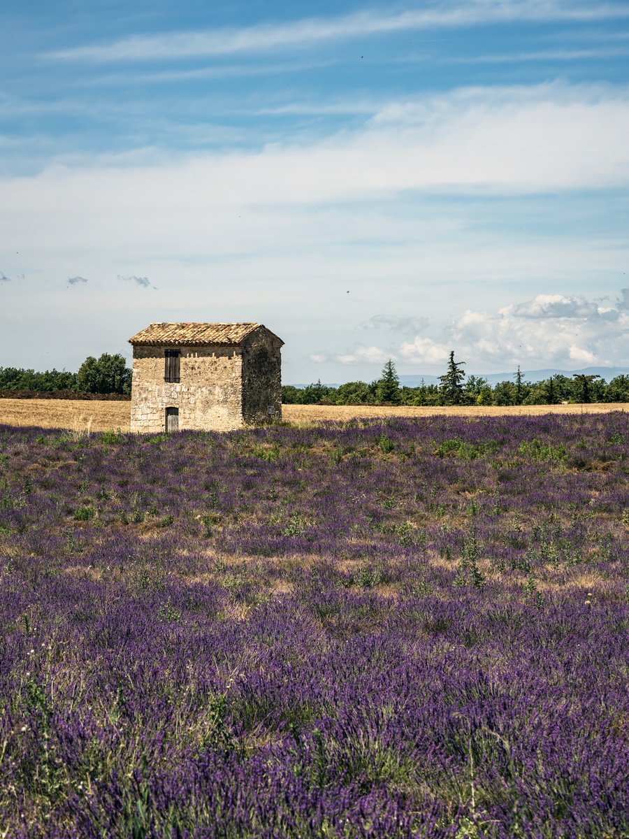 LIGHT SUNSET IN PROVENCE by Fabio Accorri?