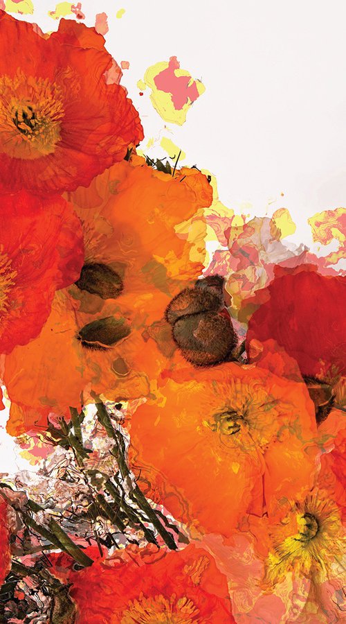 Amapolas/XL large original artwork by Javier Diaz