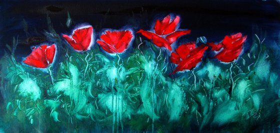Poppies at night