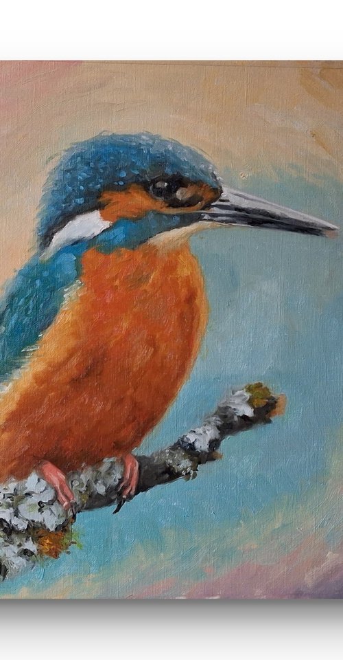 Kingfisher on the lichen by Steffan Johnson