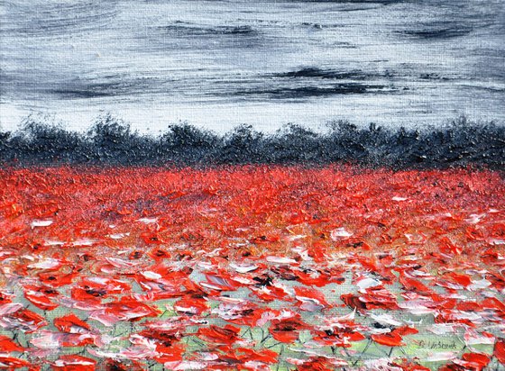 Poppies In The Storm