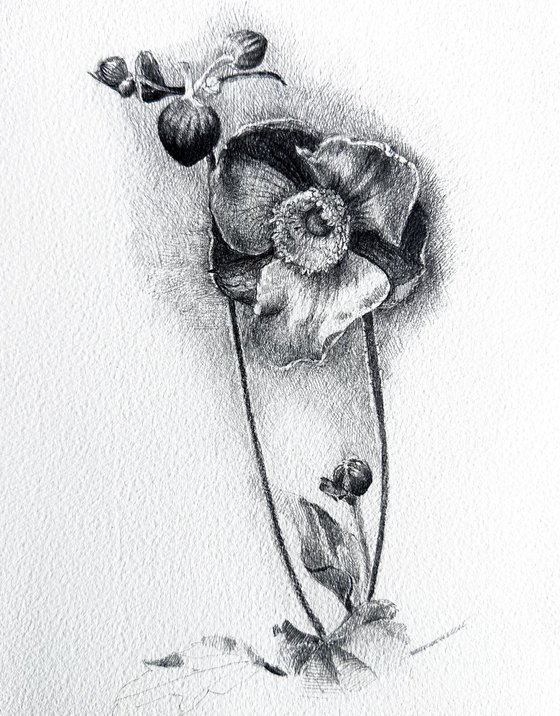 Floral vessel drawing diptych