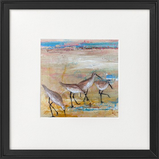 Wading Birds on beach framed