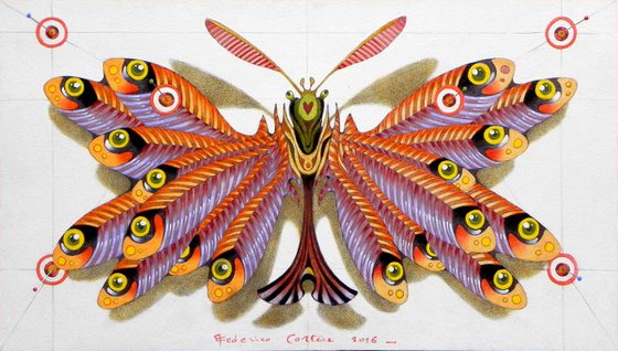 anchovies butterfly