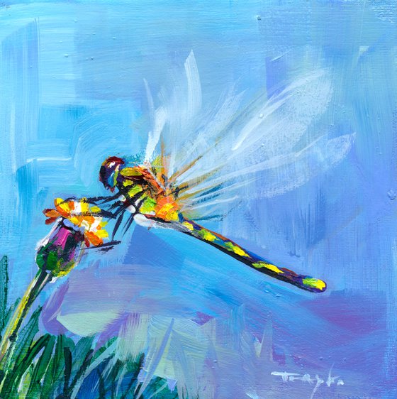 Dragonfly. Flowers, Meadow