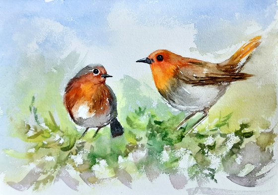 Two Robin birds on a tree
