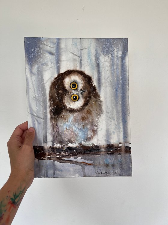 Owlet in the winter forest