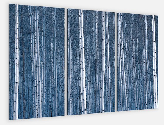 Aspen Blues Gallery Wrapped Canvas Triptych