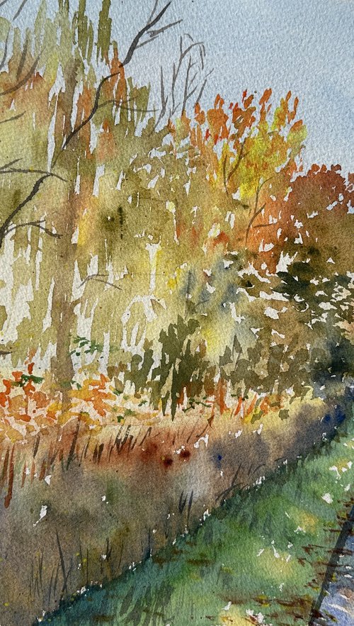 A sunny autumn day in Urbach by Oleksandra Padushyna