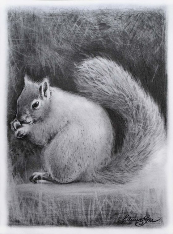 Squirrel #5