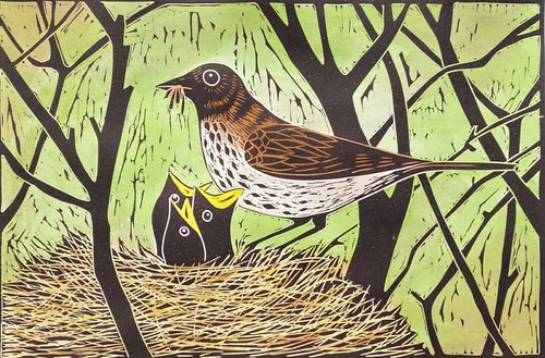 Nest of Thrushes. 22/100 by Jane Dignum
