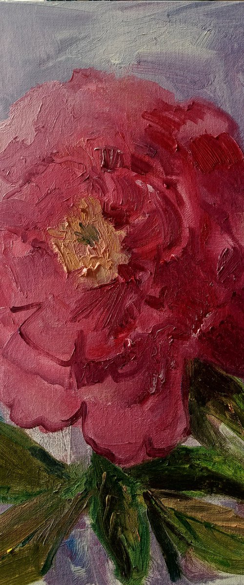Peony/Garden by Oxana Raduga