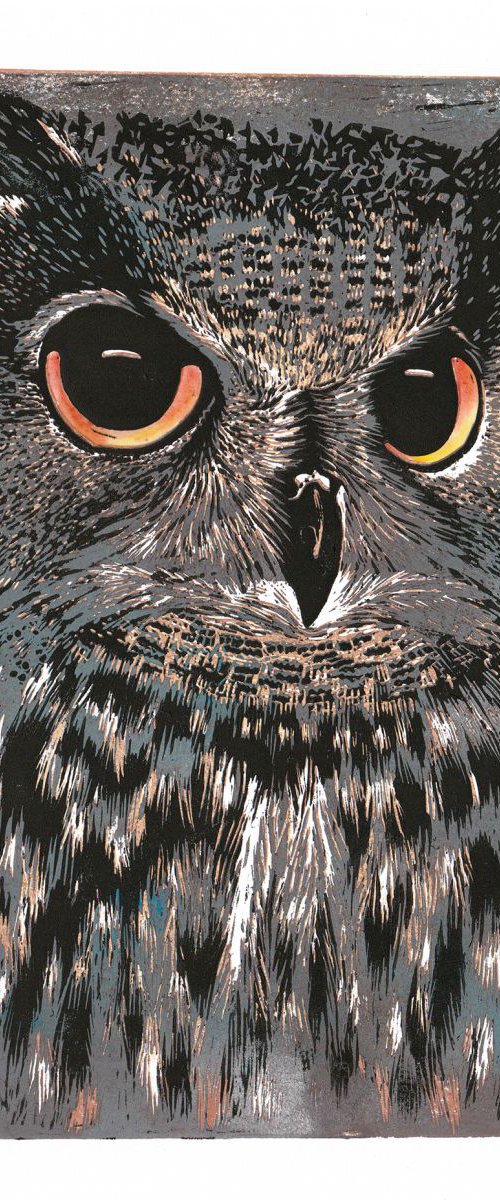Owl 5 by Hazel McNab