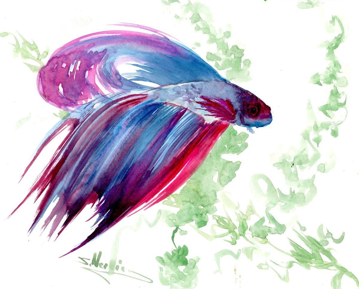 Betta Fish by Suren Nersisyan