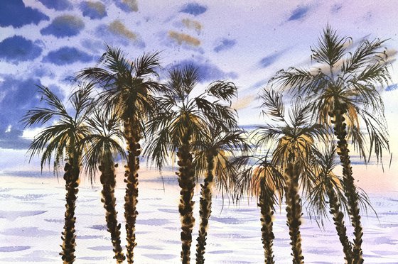 Sicily Palms Coast of paradise