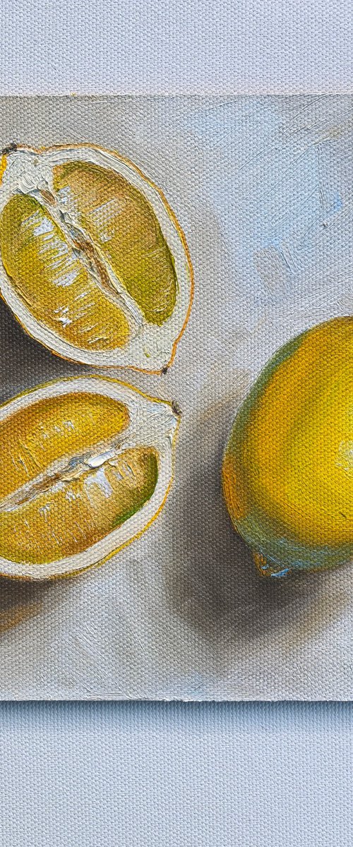 Lemon slices by Leyla Demir