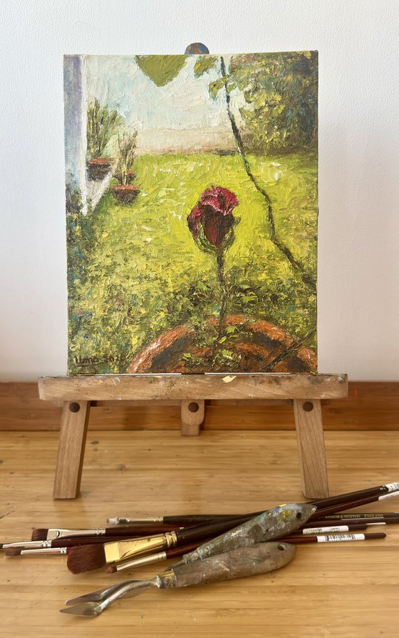 Flowers from my garden 5