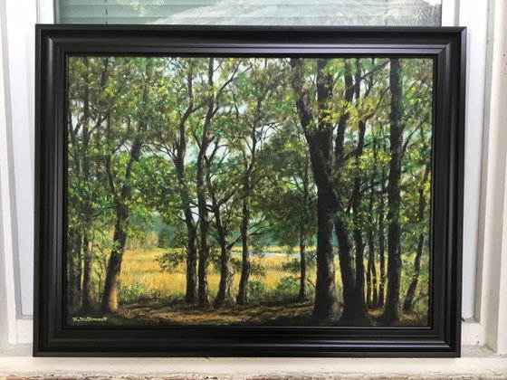 MARSH TRAIL - VEREEN GARDENS - 18X24 inch framed oil landscape