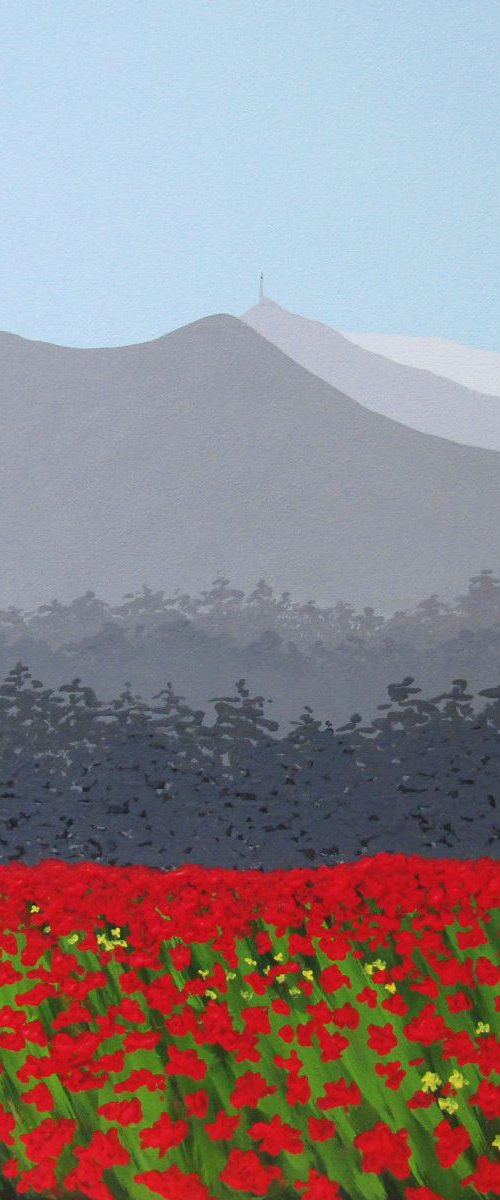 Mont Ventoux & the poppies, France by Sam Martin