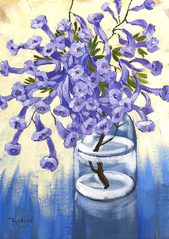 Jacaranda Flowers