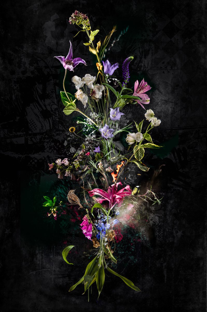 Bouquet XXX by Teis Albers