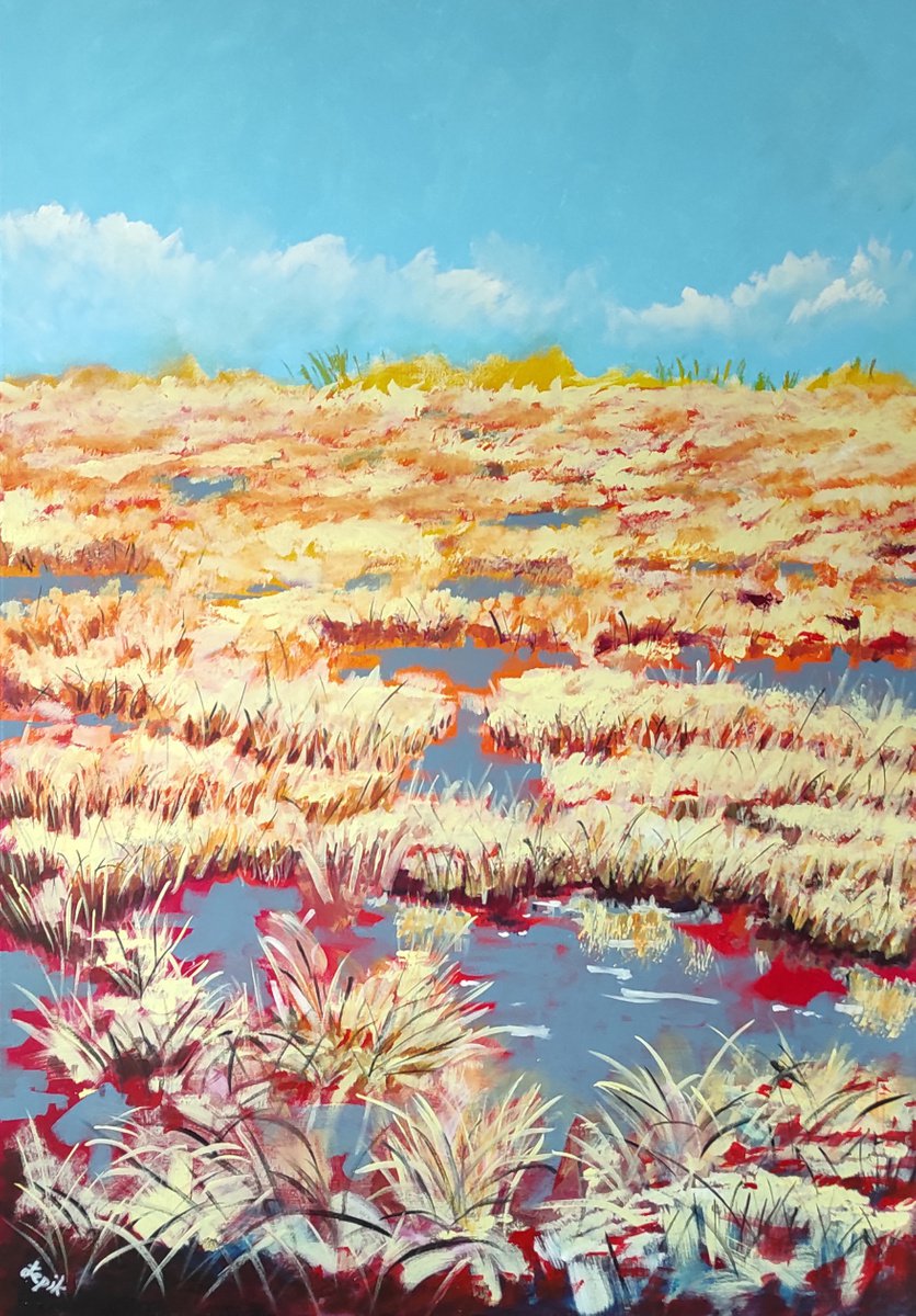 Field Of Yellow Grass by Lukasz Lepik