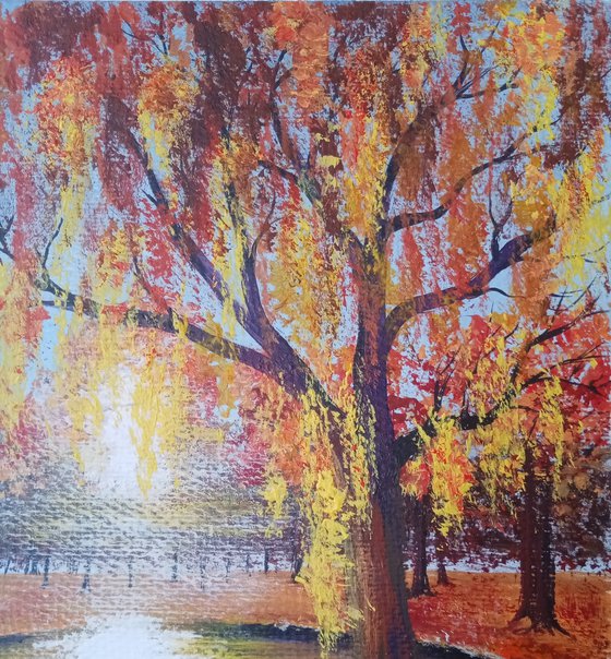 Autumn's Radiant Veil